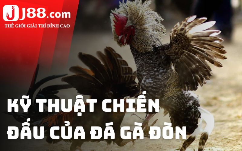 Kỹ thuật chiến đấu của đá gà đòn